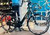 Vélo city E-Bike Breezer PowerTrip EVO 3.2+ LS 50 cm Mixte Pearl Pine Green 575W