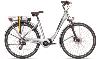 Vélo City E-bike ROCKMACHINE Citryde E200SD Taille 44(M) Nacre Batterie 500Wh