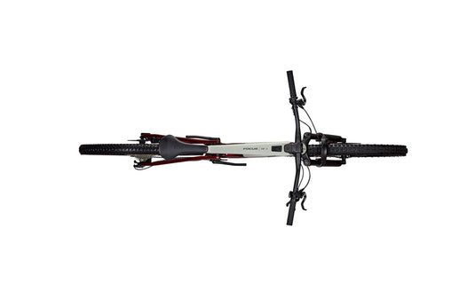 VTT VAE FOCUS VAM² SL8.7 29DI Batterie 430Wh Coloris Bordeaux Crème
