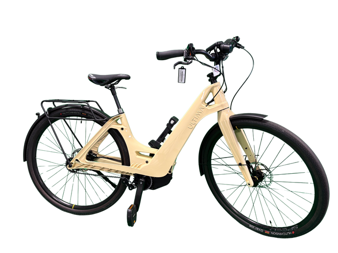 VAE Multipath City Standard moteur VALEO Gen3 Batterie 500 Wh Guidon Ergotec