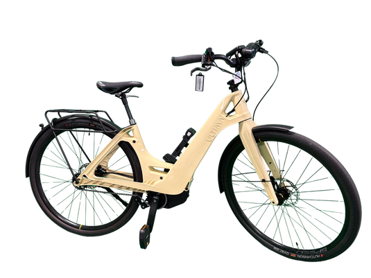 VAE Multipath City Standard moteur VALEO Gen3 Batterie 500 Wh Guidon Ergotec