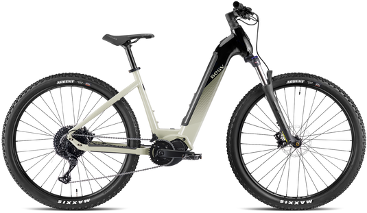 VAE BESV TRX 1.3 MY23 Low Step 630 Wh Moteur Shimano Gris Vert